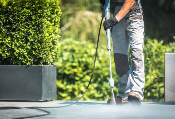 Animal Enclosure Cleaning in Amory, MS