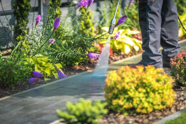 Best Gutter Cleaning  in Amory, MS