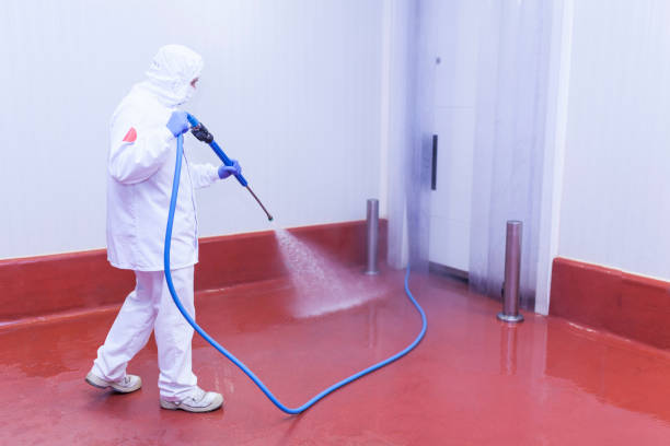 Pre-Holiday Cleaning in Amory, MS